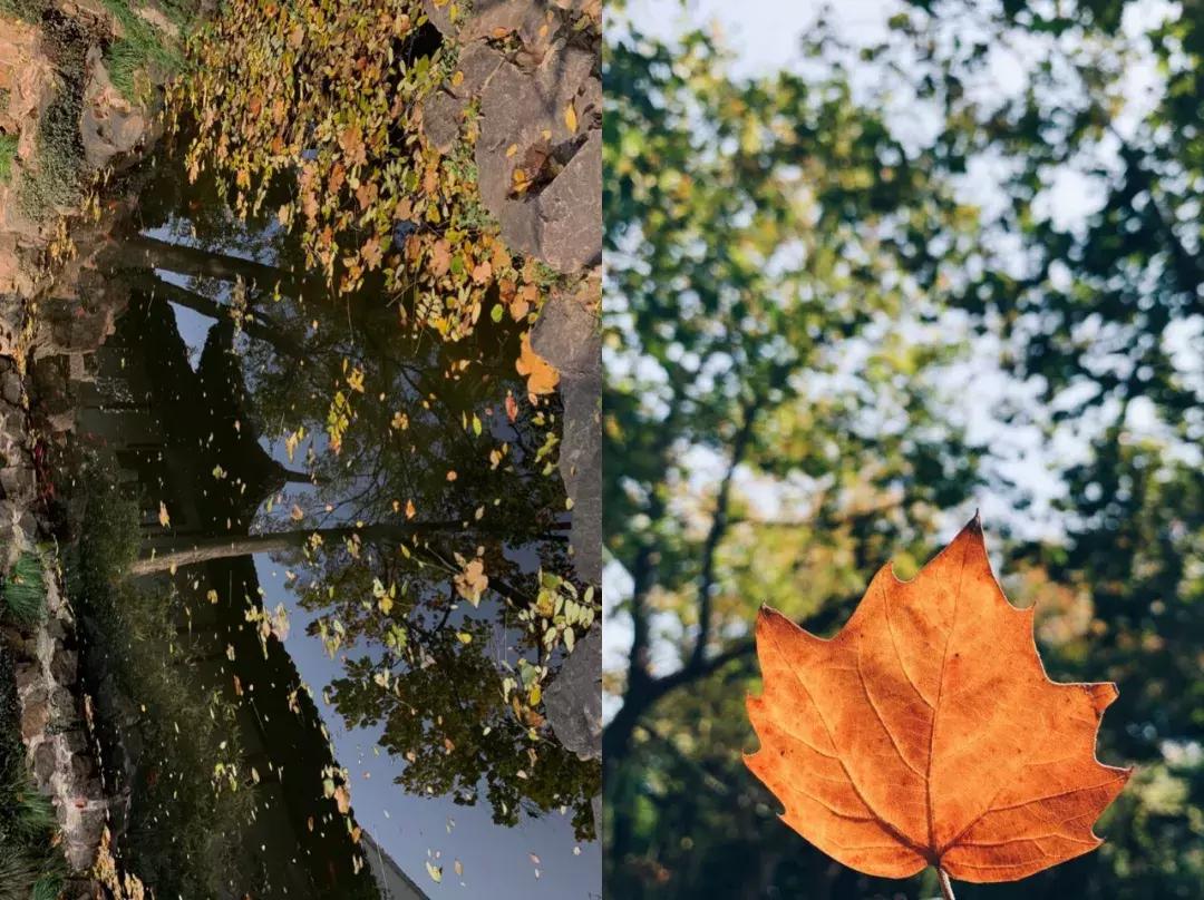 iphone13相机最佳设置,iphone12pro相机设置