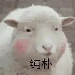 王思聪晒出的聊天记录,王思聪再曝聊天记录表情包