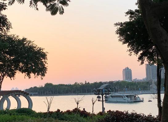 鸽群飞翔，厦门最大的全开放广场公园