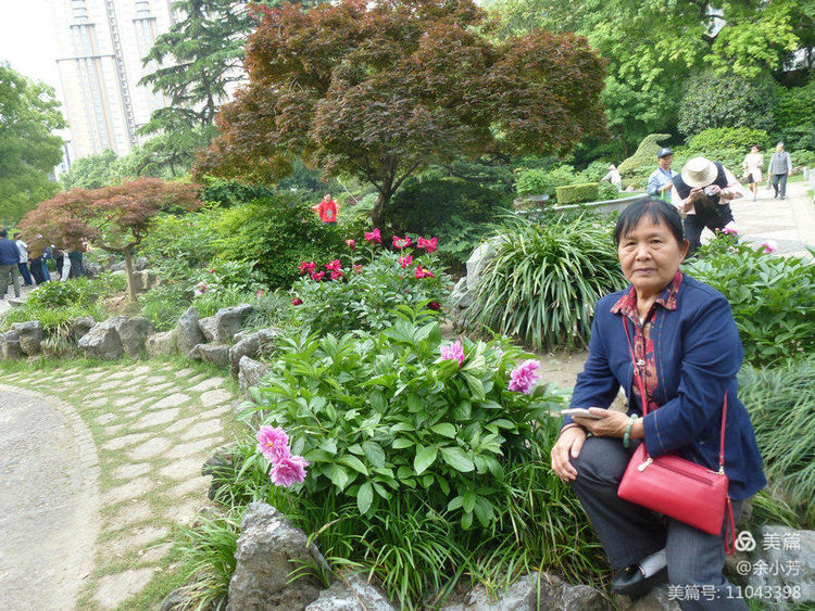 上海中山公园介绍,上海中山公园