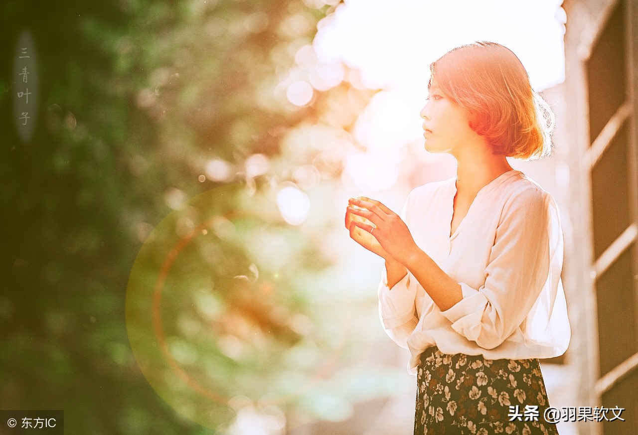 《布鲁克林有棵树》：苦难铸就成长，温情培育希望