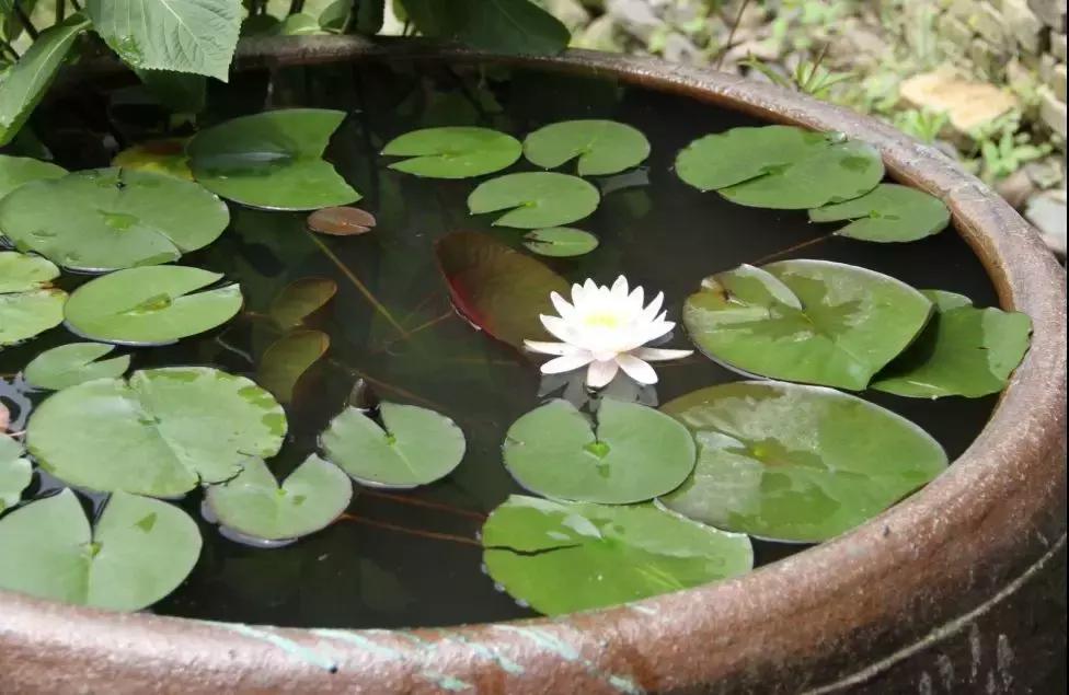 看！农产品华丽蜕变成“网红”