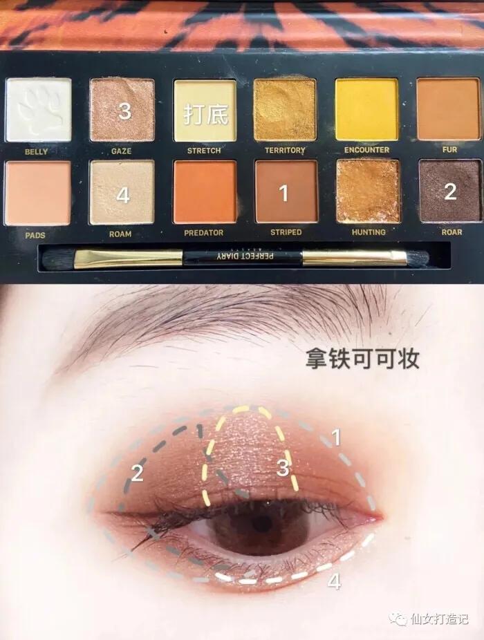 完美日记赤狐盘眼妆教程自然妆,完美日记锦鲤盘眼妆教程