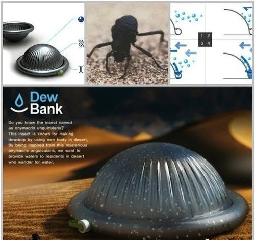 生存小技巧钻木取火,荒野生存取水技巧