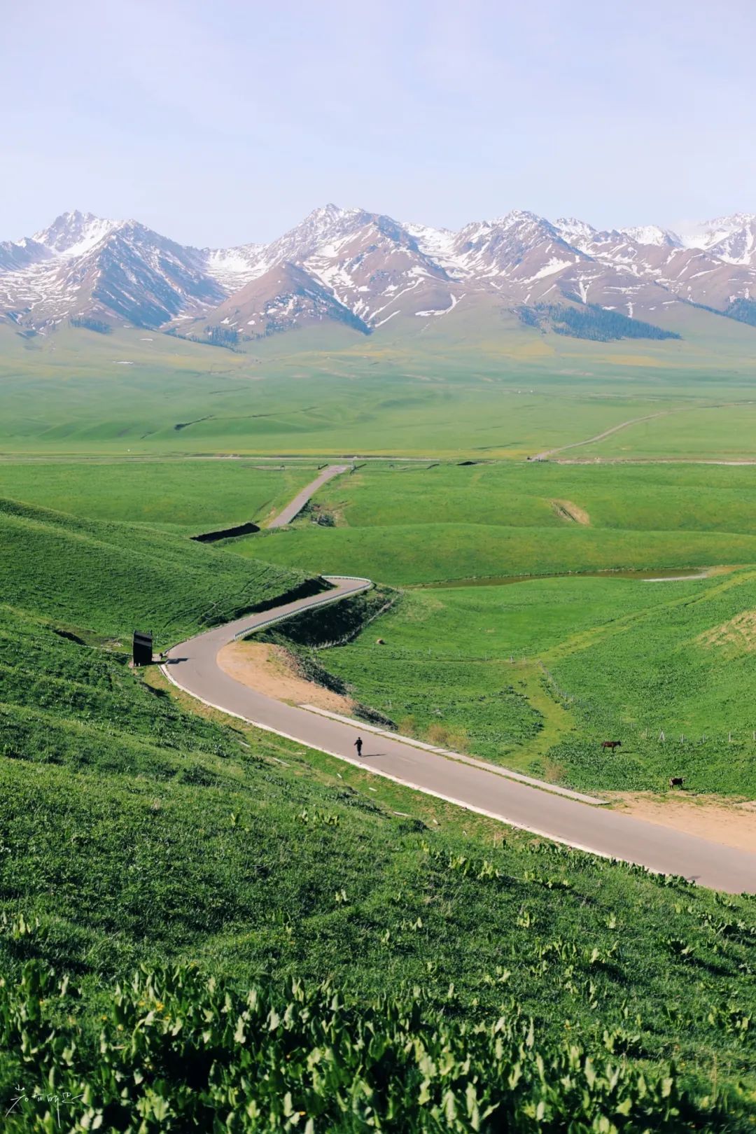 那拉提草原旅游徒步攻略,如何游玩那拉提