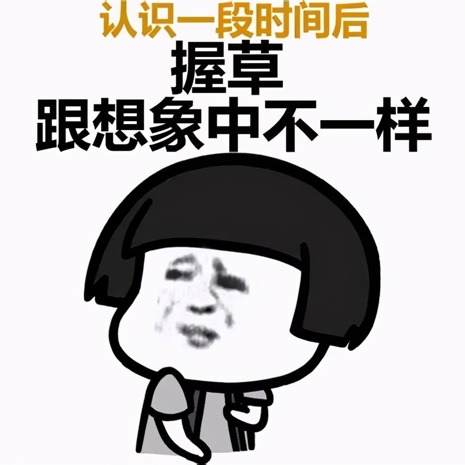 普洱茶新手入门基础知识,普洱茶茶友个人的品鉴心得和感受