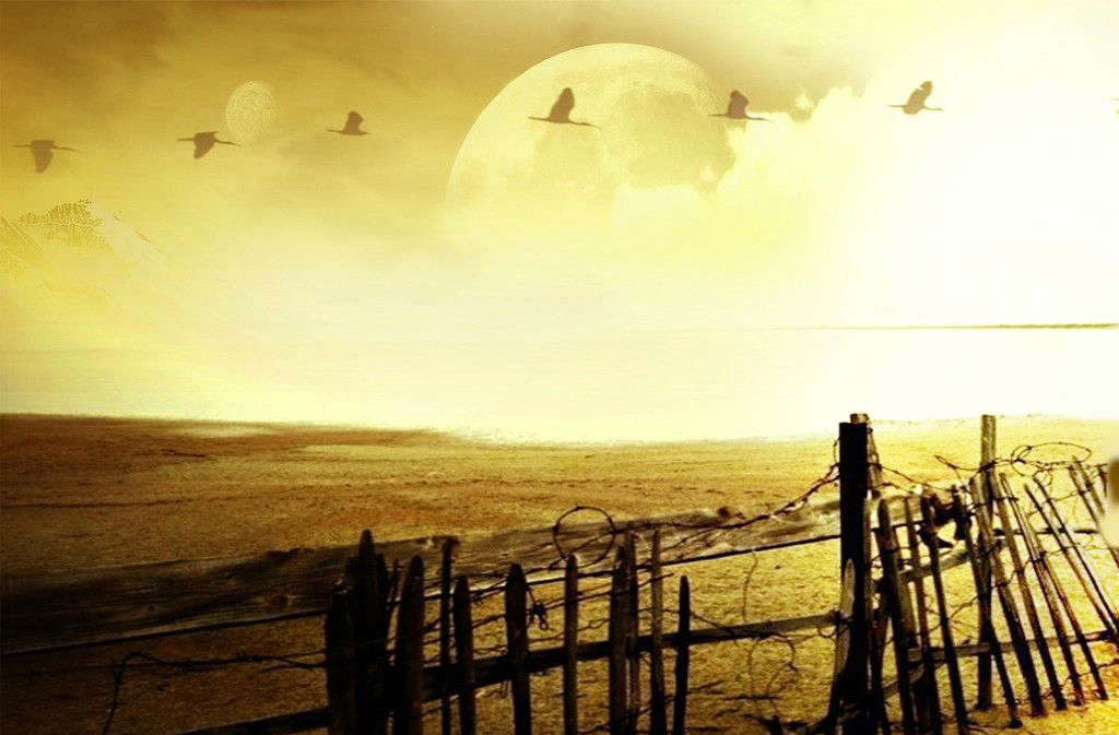 作曲家进阶篇小说推荐理由,作曲家进阶篇400字