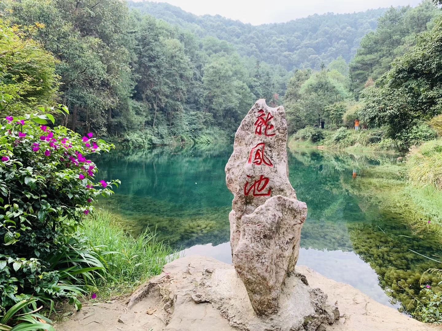 九凤瑶池现在可以去吗,重庆红池坝度假酒店