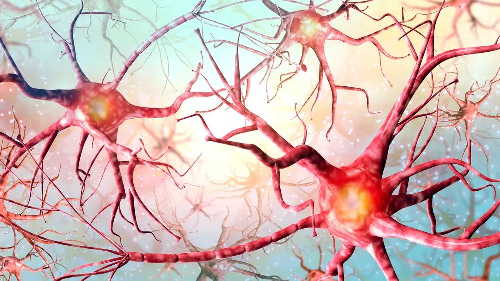 为什么少儿不能喝酒？酒精与学习成绩