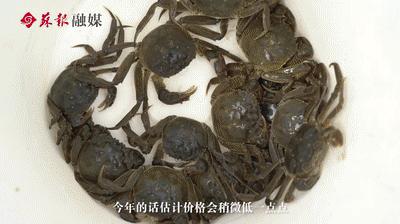 苏州春天第一鲜上市,苏州6月份美食推荐