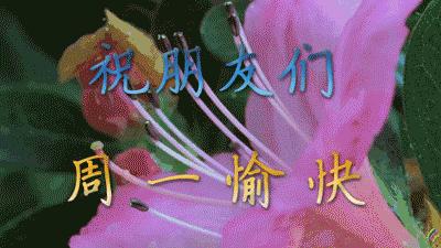 周一早上好最新图片祝福语,周一早上好图片早安问候语