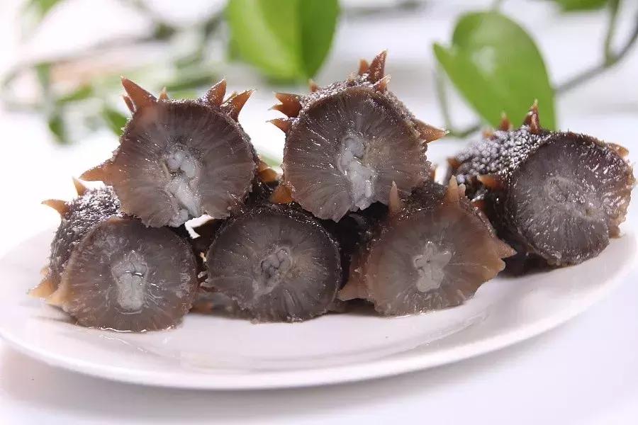 泡发海参为什么12小时换一次水,拉缸海参泡发正确流程的做法步骤