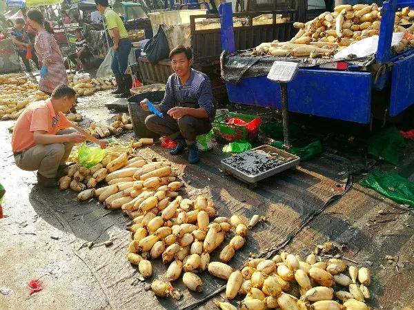 武湖网上买菜平台,网上买菜活动