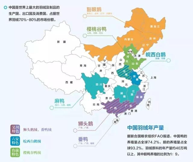 这套睡眠装备，能带你在山里走多远？