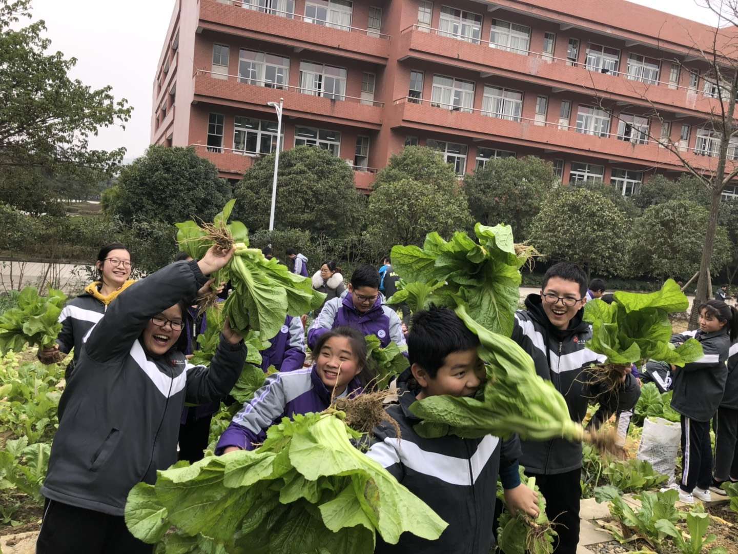 鏄ヨ妭涓嶆墦鐑婂啿鍒哄紑闂ㄧ孩,鏄ヨ妭涓嶆墦鐑婂紑闂ㄧ孩