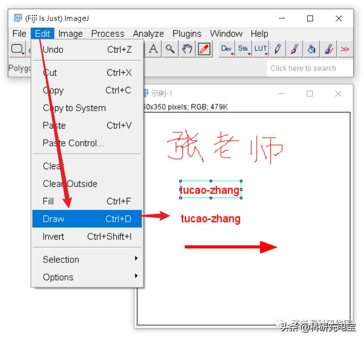 imagej标尺的位置,imagej自动选择区域