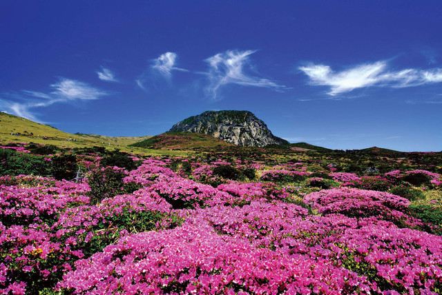 济州岛大长今拍摄地详细地址,济州岛十大景点图片高清