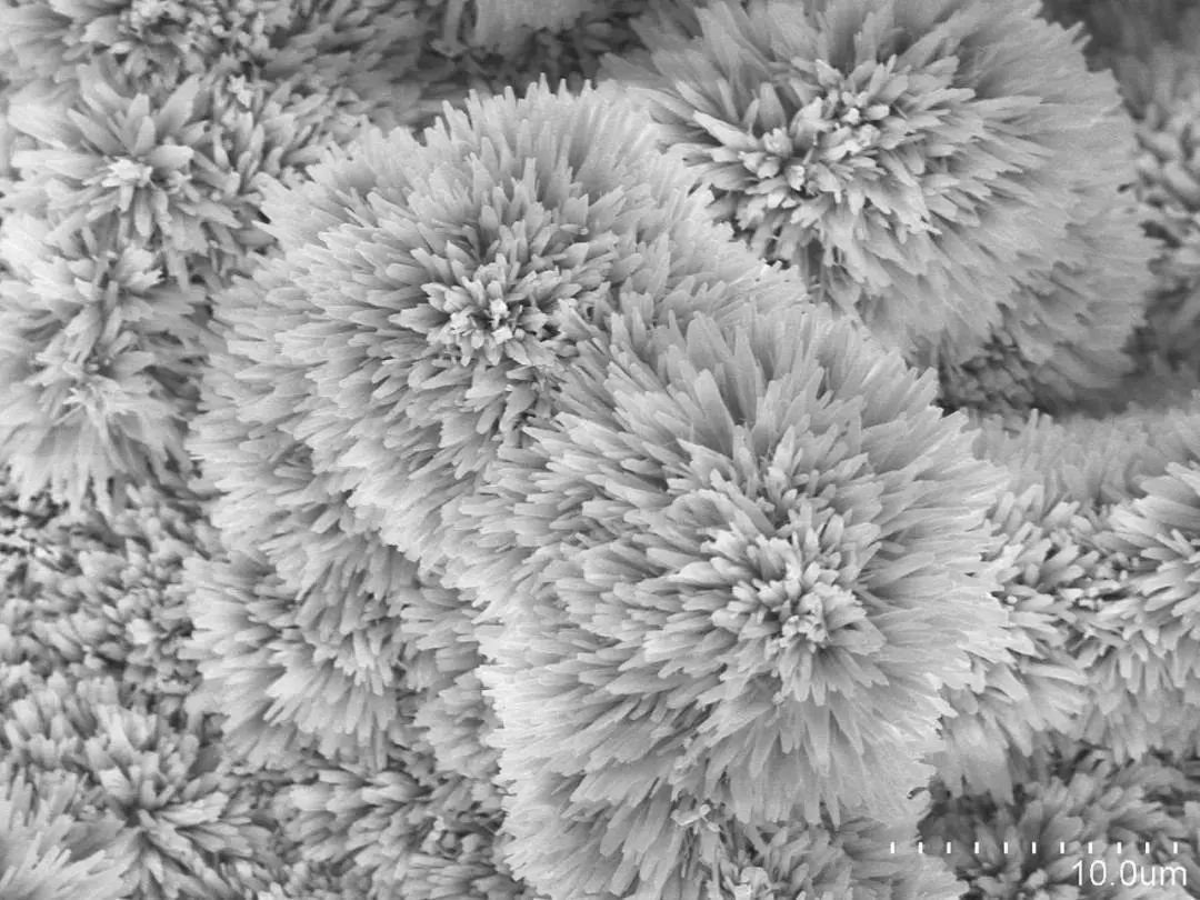 绉戠爺澹佺焊,绉戠爺浜虹殑鏂板勾澹佺焊