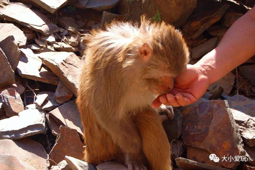 北京十大免费遛娃去处,北京朝阳区遛娃好去处