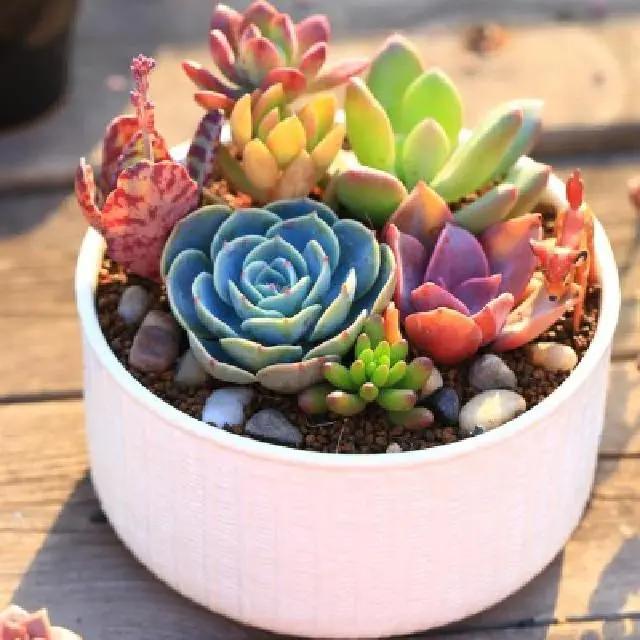 给儿子简短走心的句子说说心情,朋友圈说说经典语录人生感悟