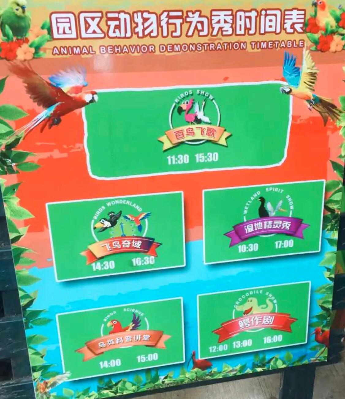 长隆飞鸟乐园拍鸟攻略,广州长隆飞鸟乐园可以摸哪些鸟