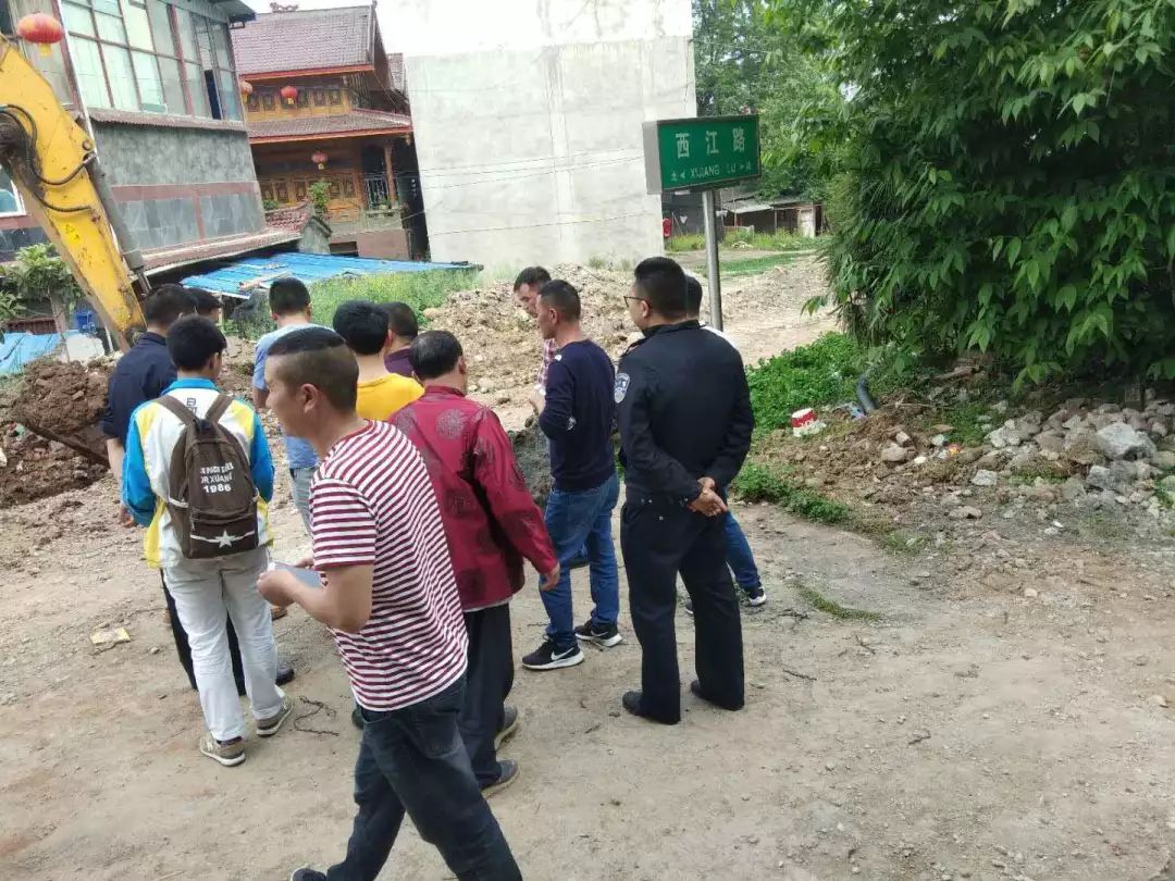 芦山挖出金丝楠乌木,成都挖出的乌木