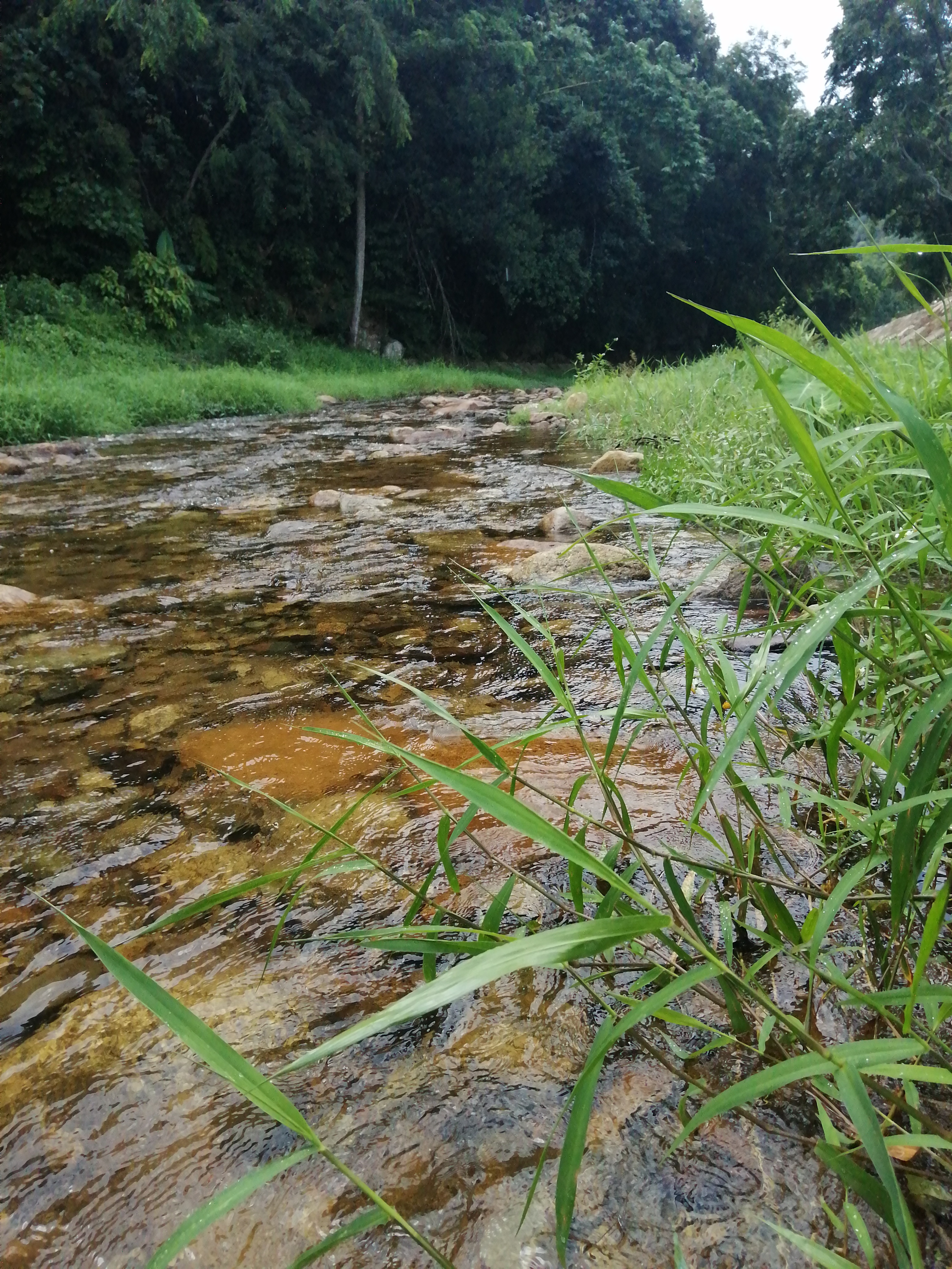 周边旅游景点推荐自驾游罗浮山,罗浮山风景区一日游攻略