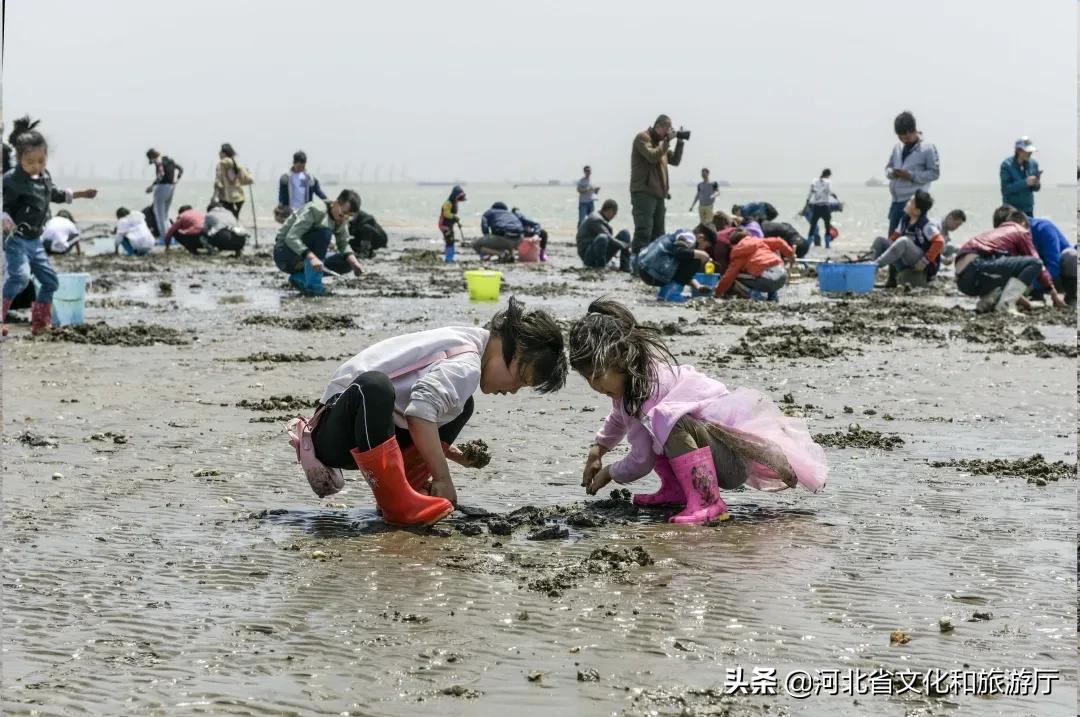 吃在嘴东渔港：过一种“鲜仙”生活