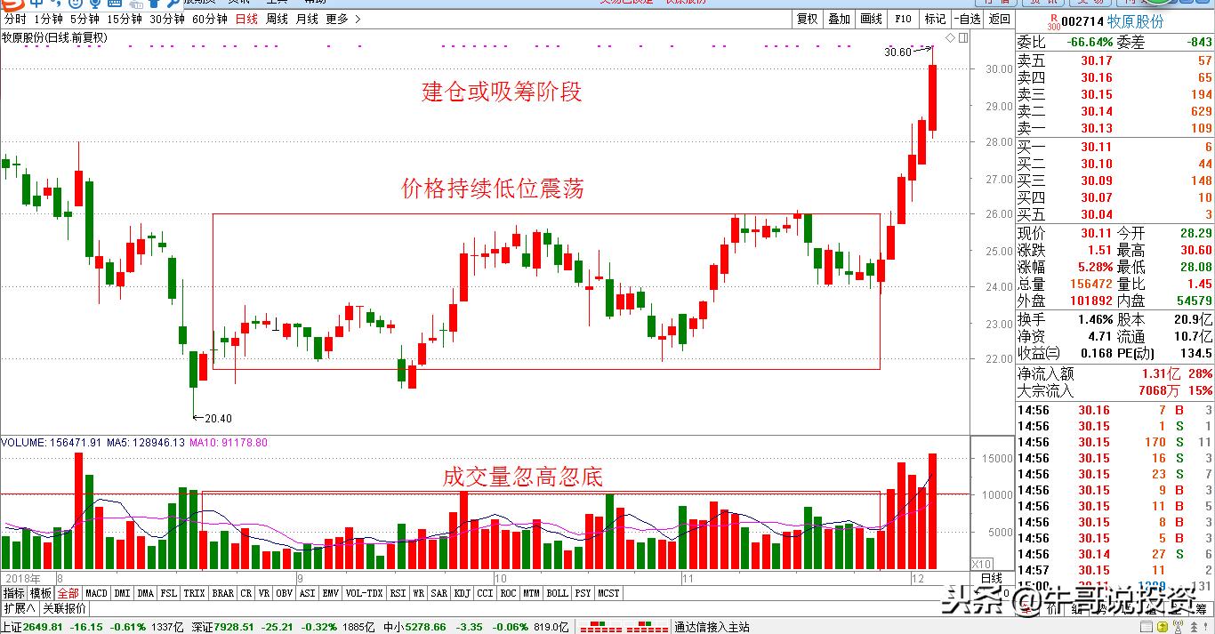 12.10新手入门：量价关系识别技巧，从入门到精通
