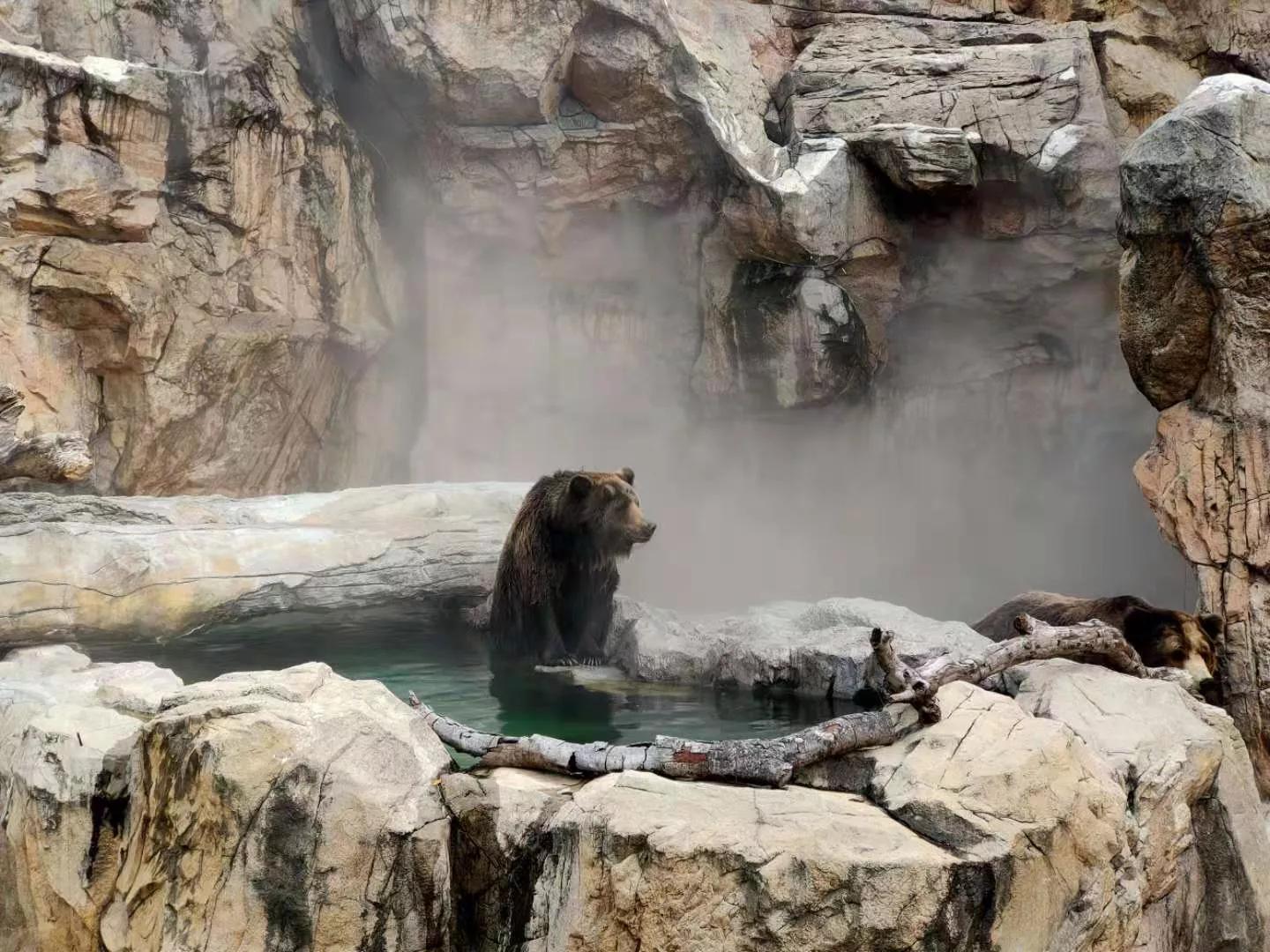 珠海长隆海洋王国一天路线图,珠海长隆海洋王国一日游详细攻略