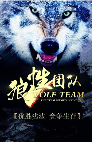 狼文化的团队文化,狼文化与狼性团队