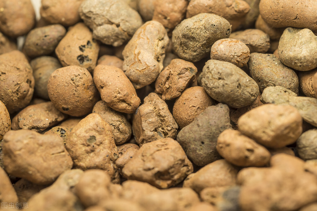 什么东西养花又便宜又好养,养花很烧钱入坑需谨慎