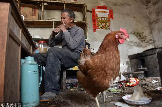 拼多多和淘宝的日活用户,拼多多日活用户超过淘宝了吗