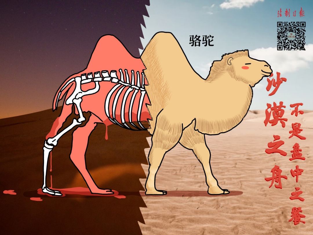 关于拒绝野味的讽刺漫画,远离野味的漫画