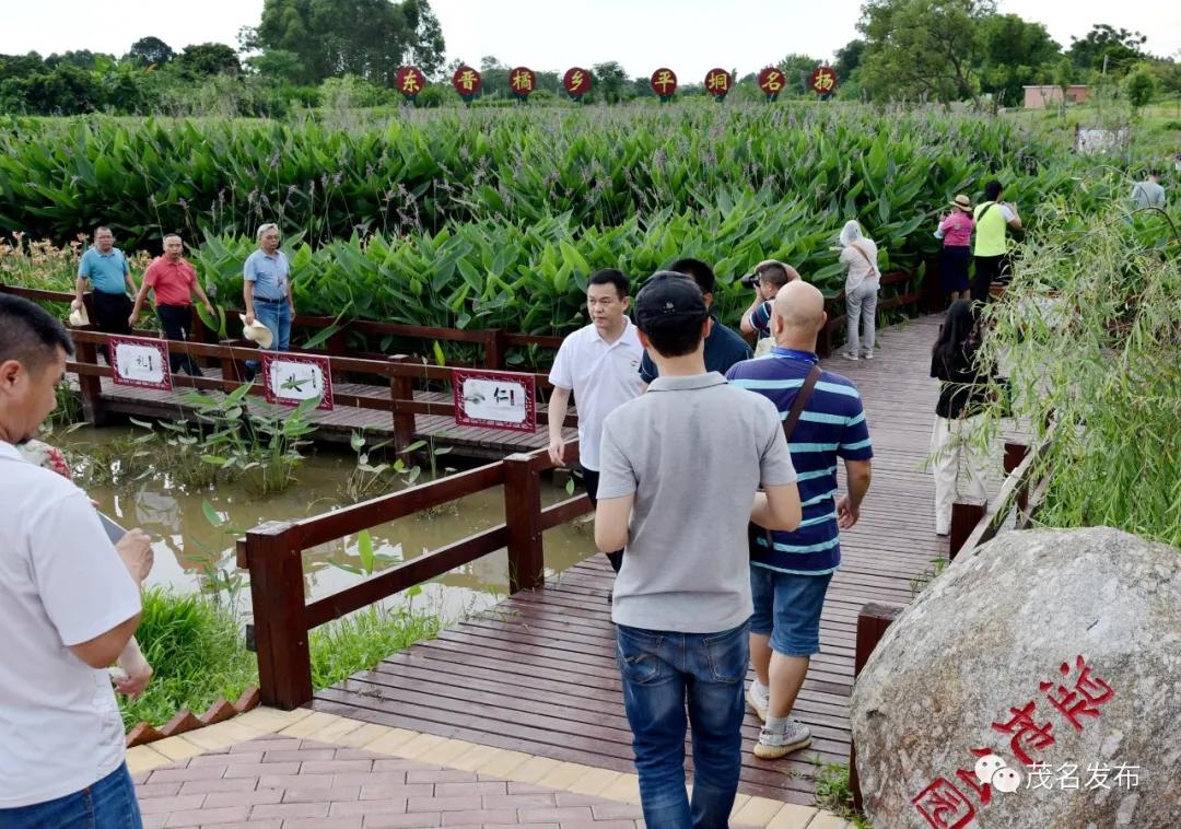 乡村振兴看辉煌,乡村振兴看东富