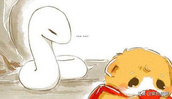 小仓鼠和大蛇的互宠日常,蛇先生与小仓鼠