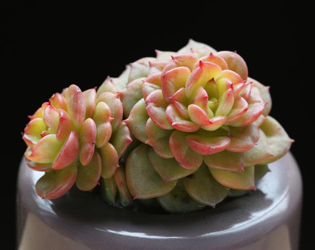 六月情感语录短句,五月的心灵鸡汤句子