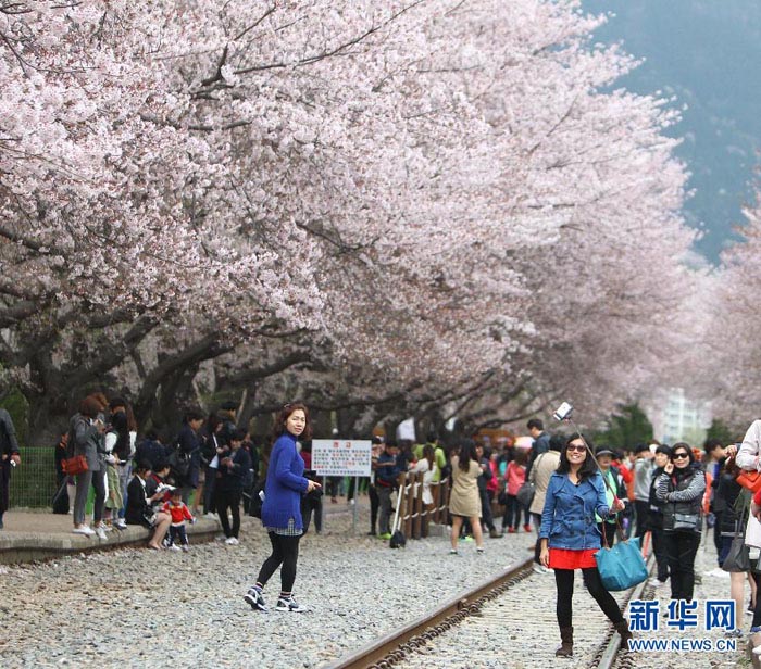 中国有多少个韩国城市,韩国著名的城市