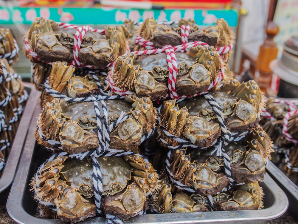 金秋蟹正确吃法,大闸蟹正确的吃蟹方法