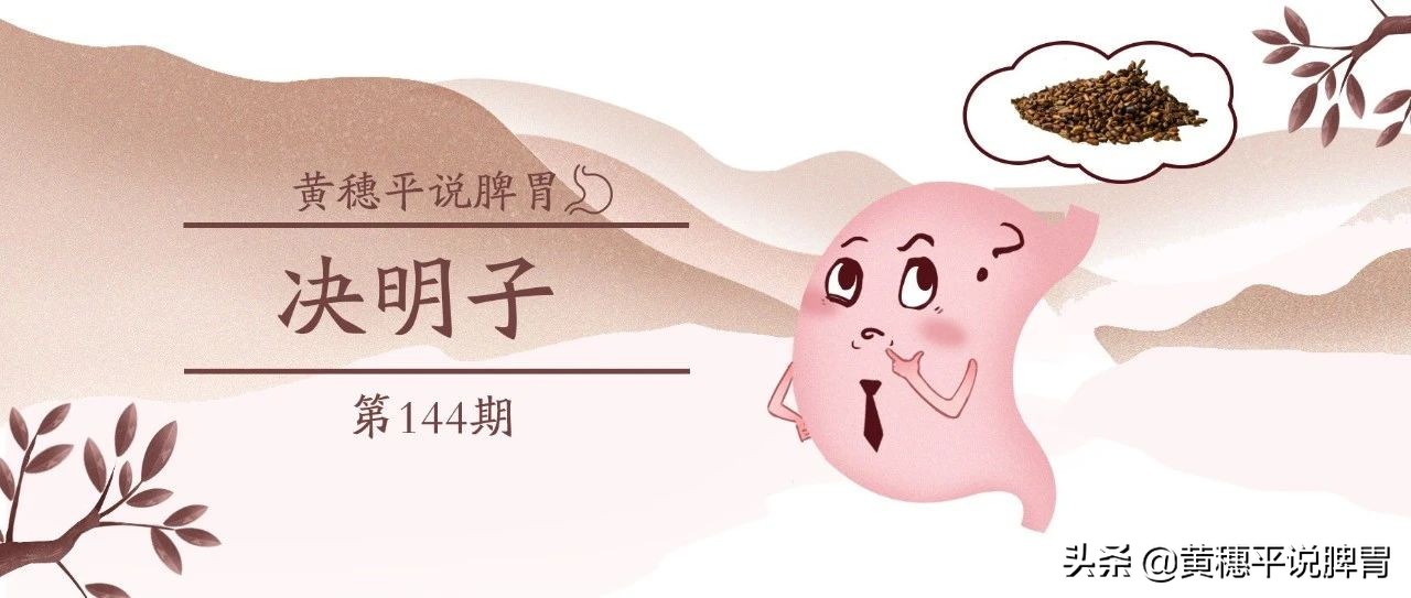 决明子甜叶菊蒲公英的功效与作用,决明子有哪些好处和功效