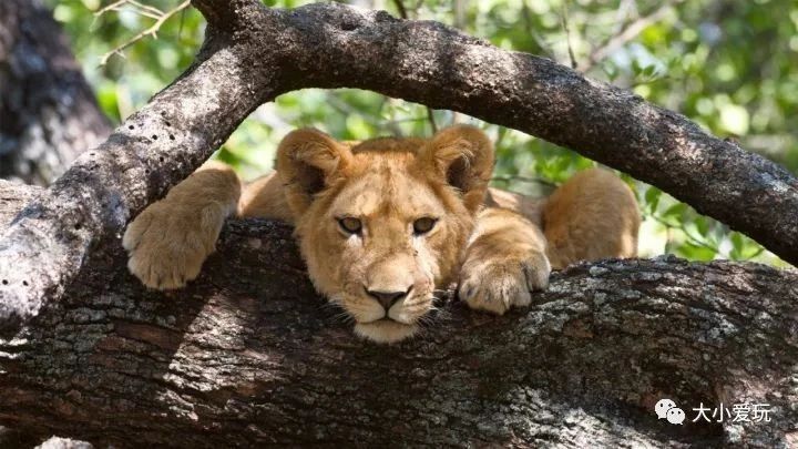 世界上最贵的酒店带我们体验一晚,世界十大最贵的酒店排名