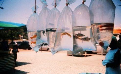 世界名著10句经典语录,世界名著里的九句话句句都是人生