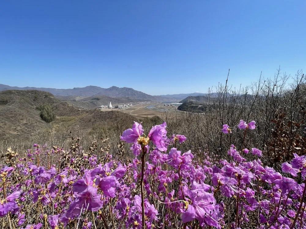 溪游记横岗店,溪游记竹窠