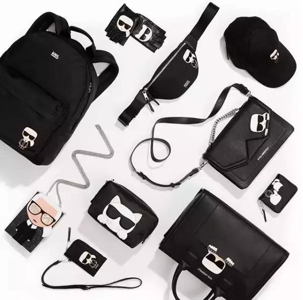 老佛爷的遗产真的由猫继承,老佛爷的所有家产最后留给了猫