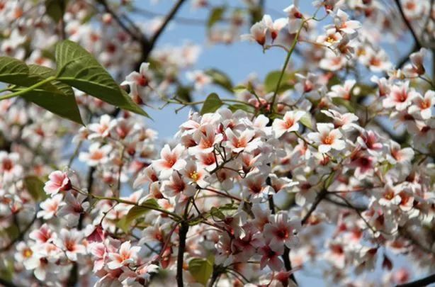 五一放假去哪里旅游比较好,五一小长假去哪里玩比较好一点