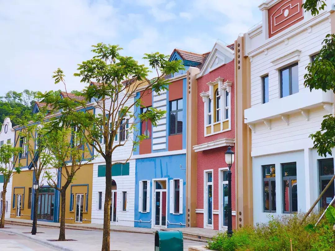 春日赏花深圳,深圳春游赏花