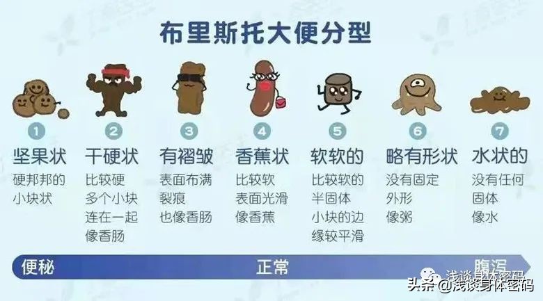 告别便秘最好的方法,告别肠道小烦恼