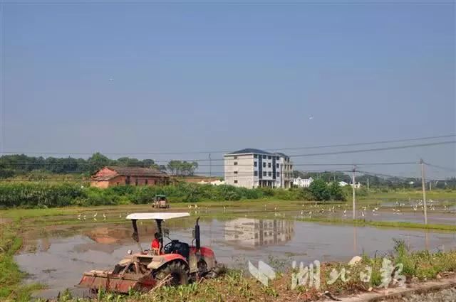 武汉市的好消息,恭喜武汉