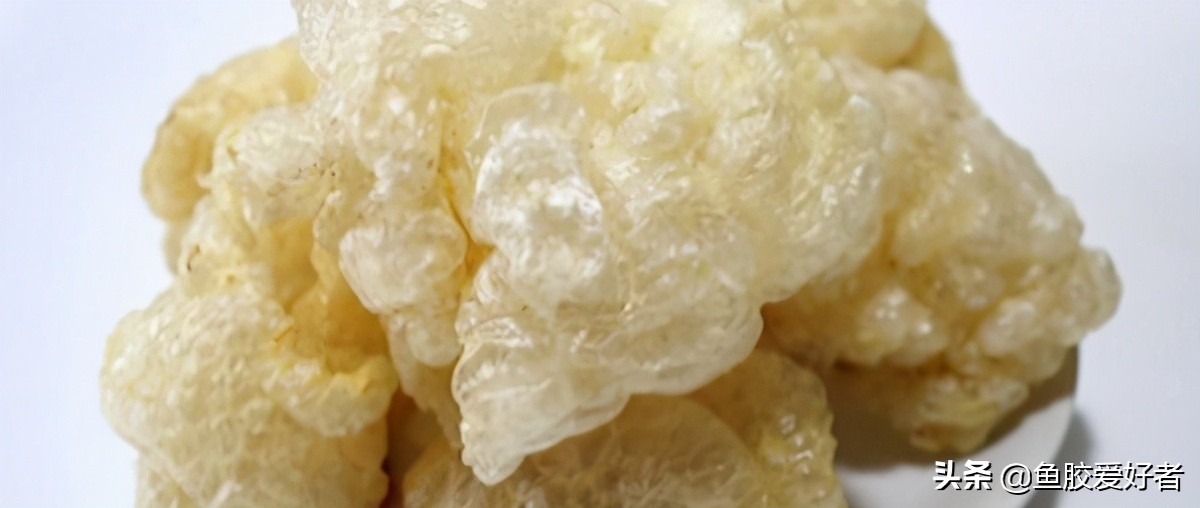 鱼胶正确的泡发方法和做法,顺德鲮鱼鱼胶的做法视频