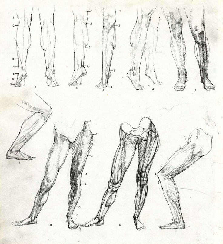 腿部的画法古风,腿部的画法板绘